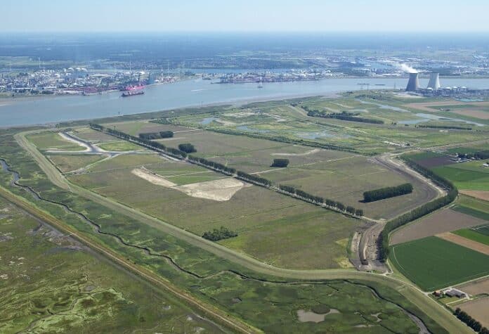 Hedwigepolder