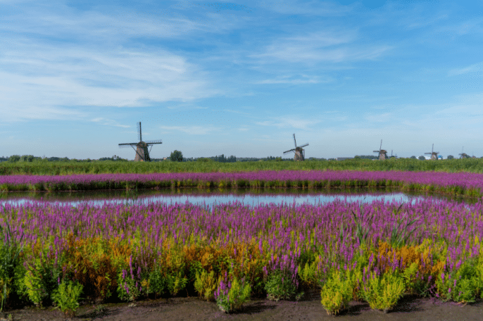 verduurzaming waterbeheer