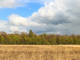 AERIUS - Natura 2000-gebied Wijnjeterper Schar in Friesland