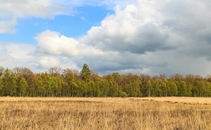 AERIUS - Natura 2000-gebied Wijnjeterper Schar in Friesland