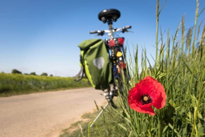 Fiets langs weg