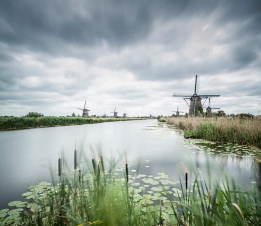 Water bij Kinderdijk